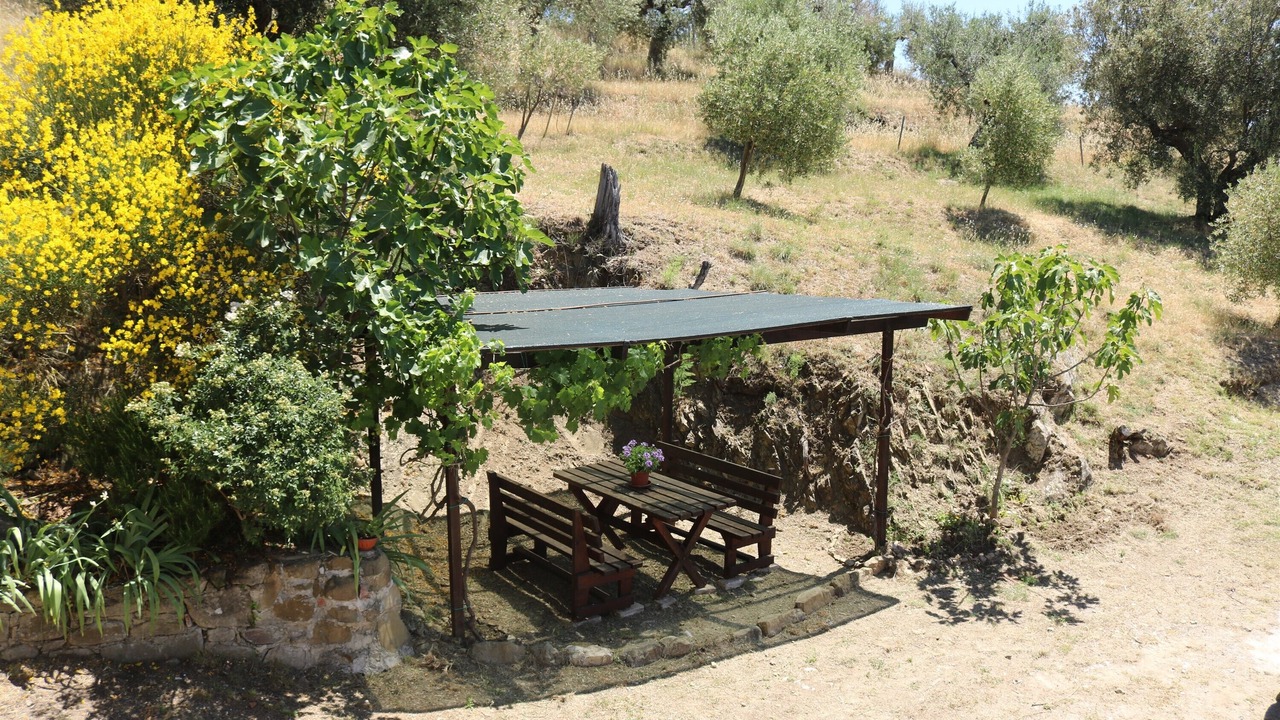 Photo of Outdoor in Passignano sul Trasimeno