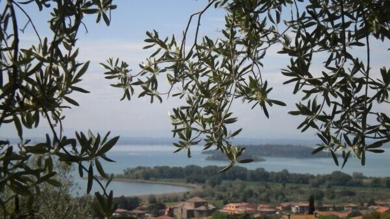 Photo of Others in Passignano sul Trasimeno