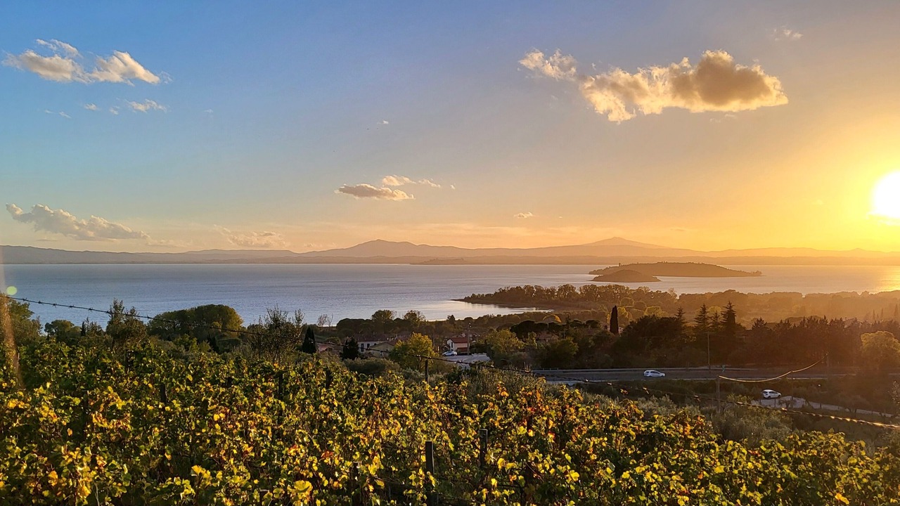 Photo of Others in Passignano sul Trasimeno
