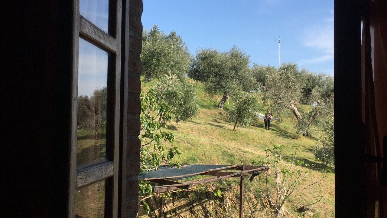 Photo of Others in Passignano sul Trasimeno