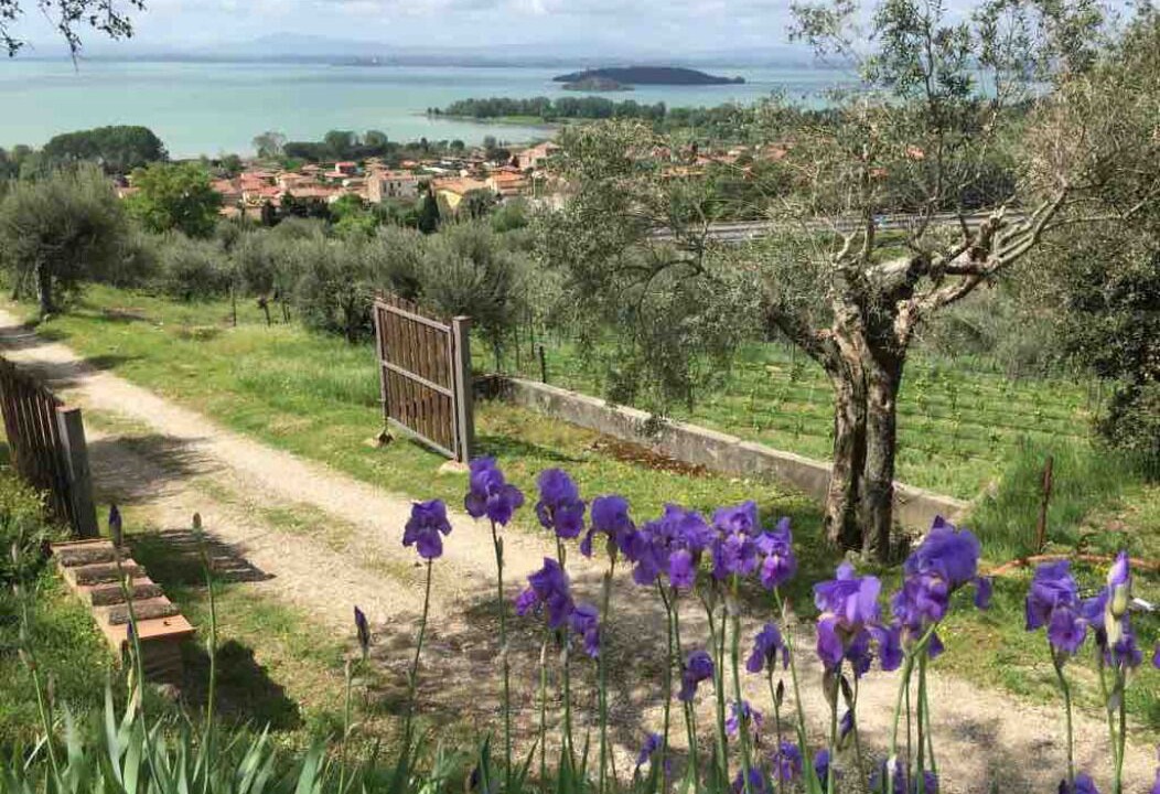 Photo of Outdoor in Passignano sul Trasimeno