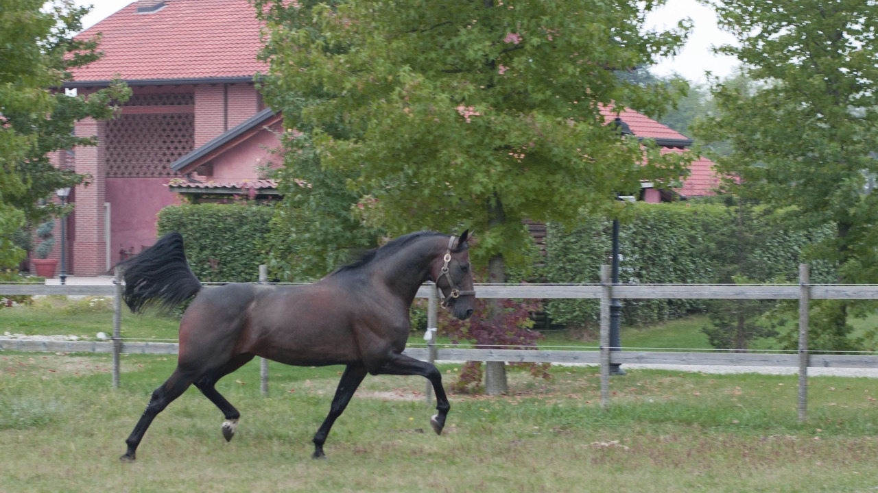 Photo of Outdoor in Agrate Conturbia