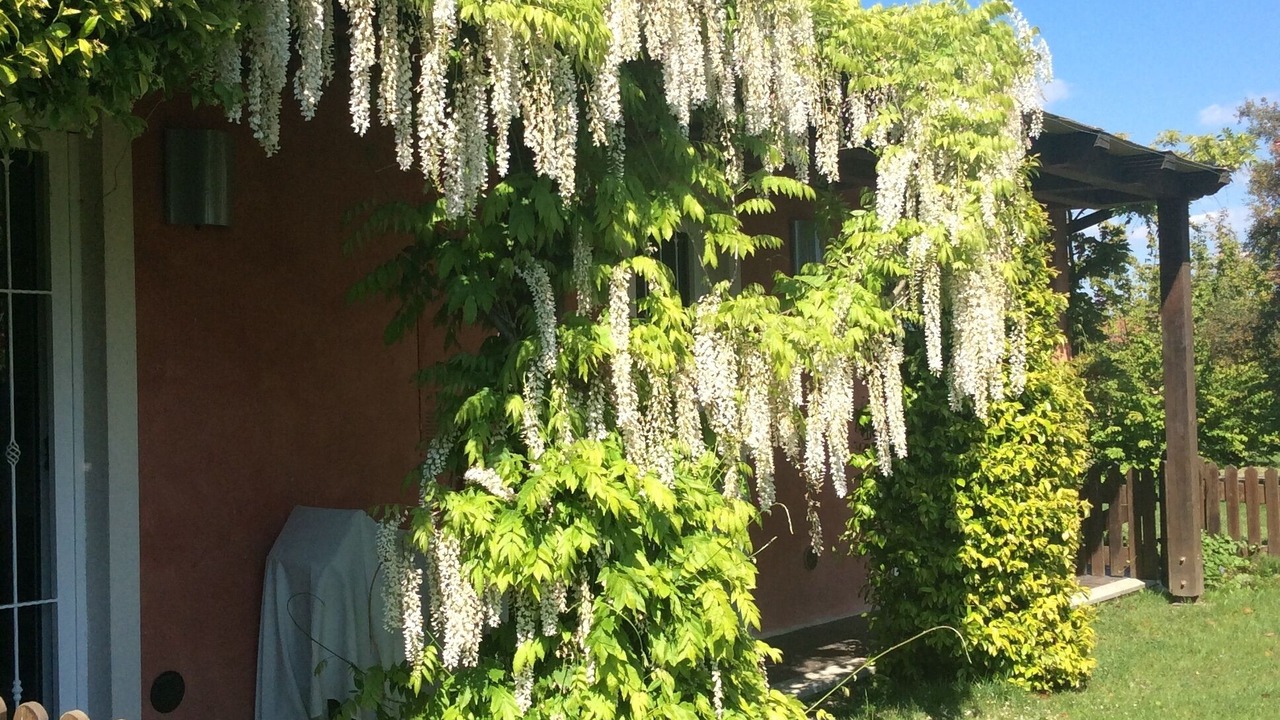 Photo of Outdoor in Agrate Conturbia