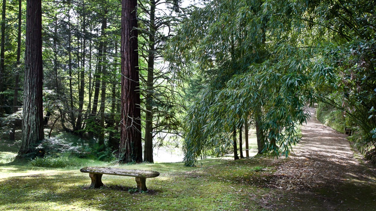 Photo of Outdoor in Cicogna