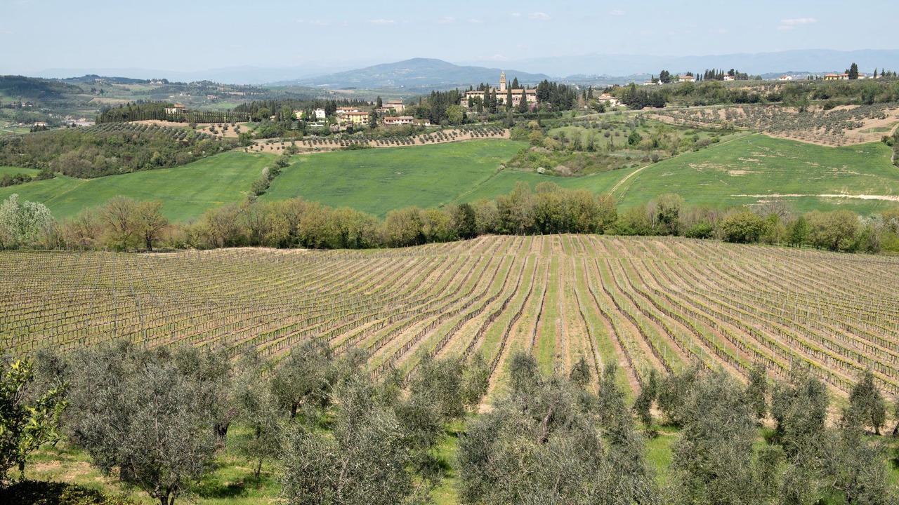 Photo of Others in Montespertoli
