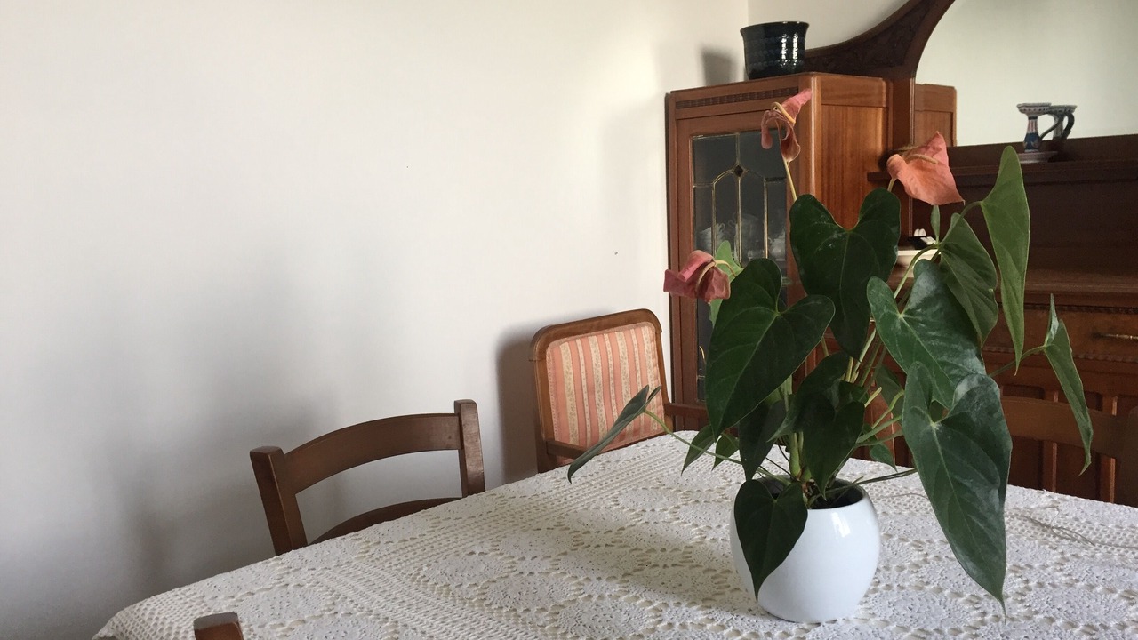 Photo of Others in Vietri sul Mare