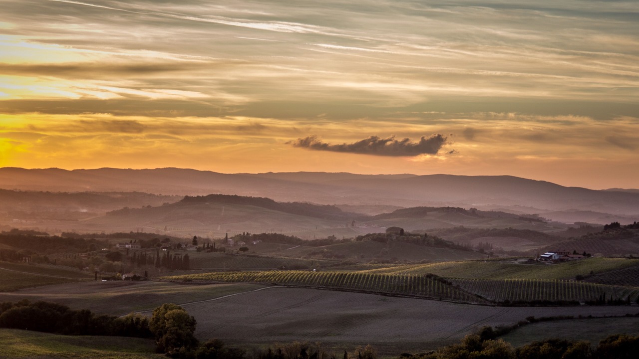 Photo of Others in Castellina in Chianti