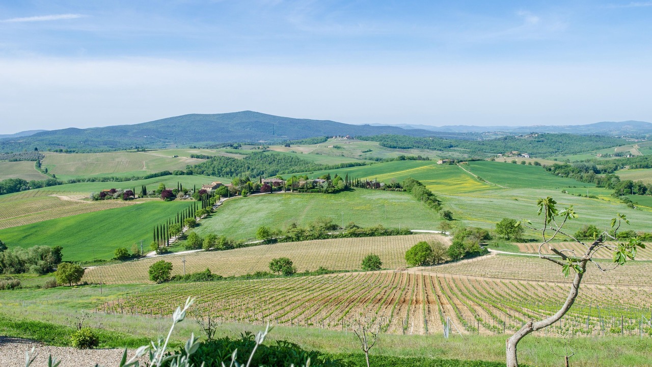 Photo of Others in Castellina in Chianti