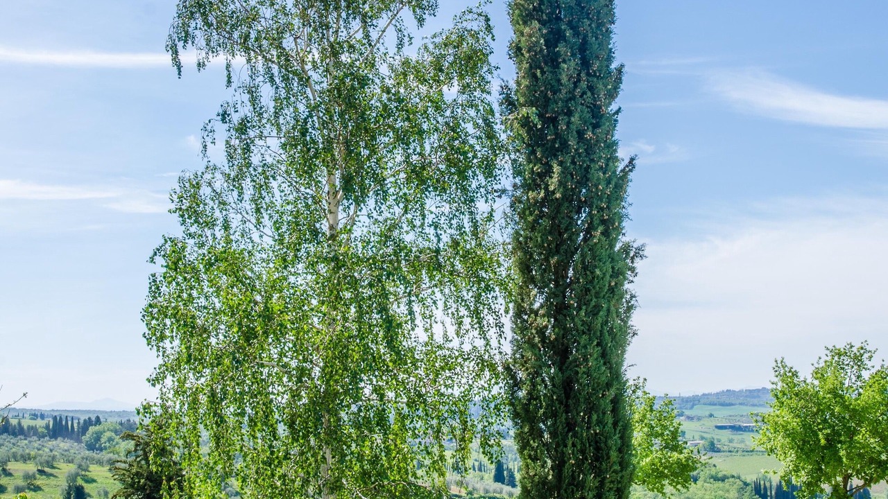 Photo of Others in Castellina in Chianti
