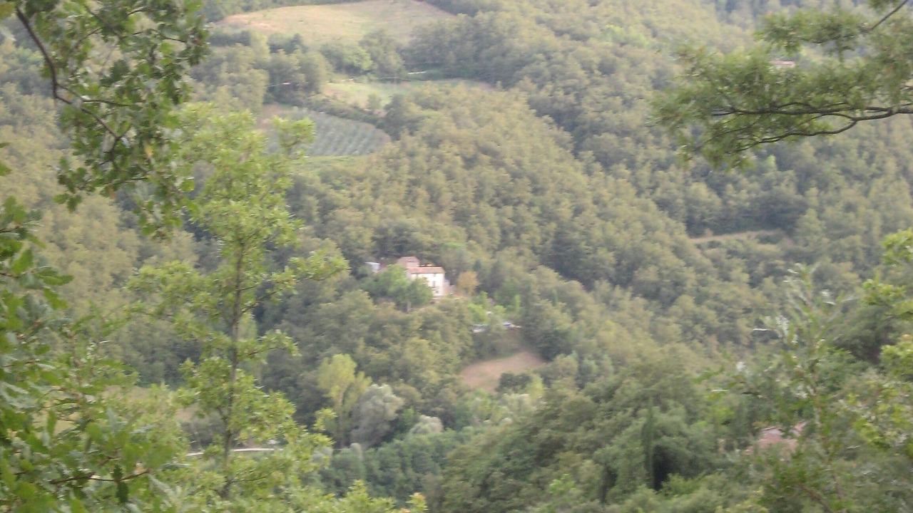Photo of Others in San Leo Bastia