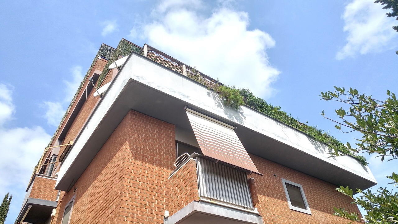 Photo of Outdoor in Aurelio