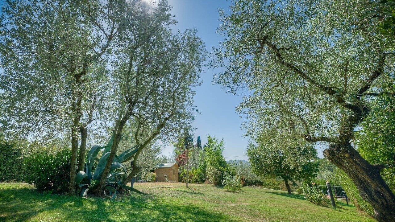 Photo of Outdoor in Impruneta