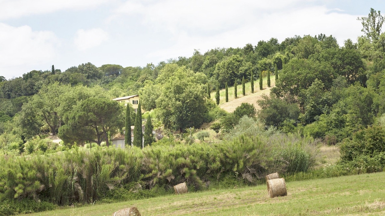 Photo of Others in San Michele in Teverina