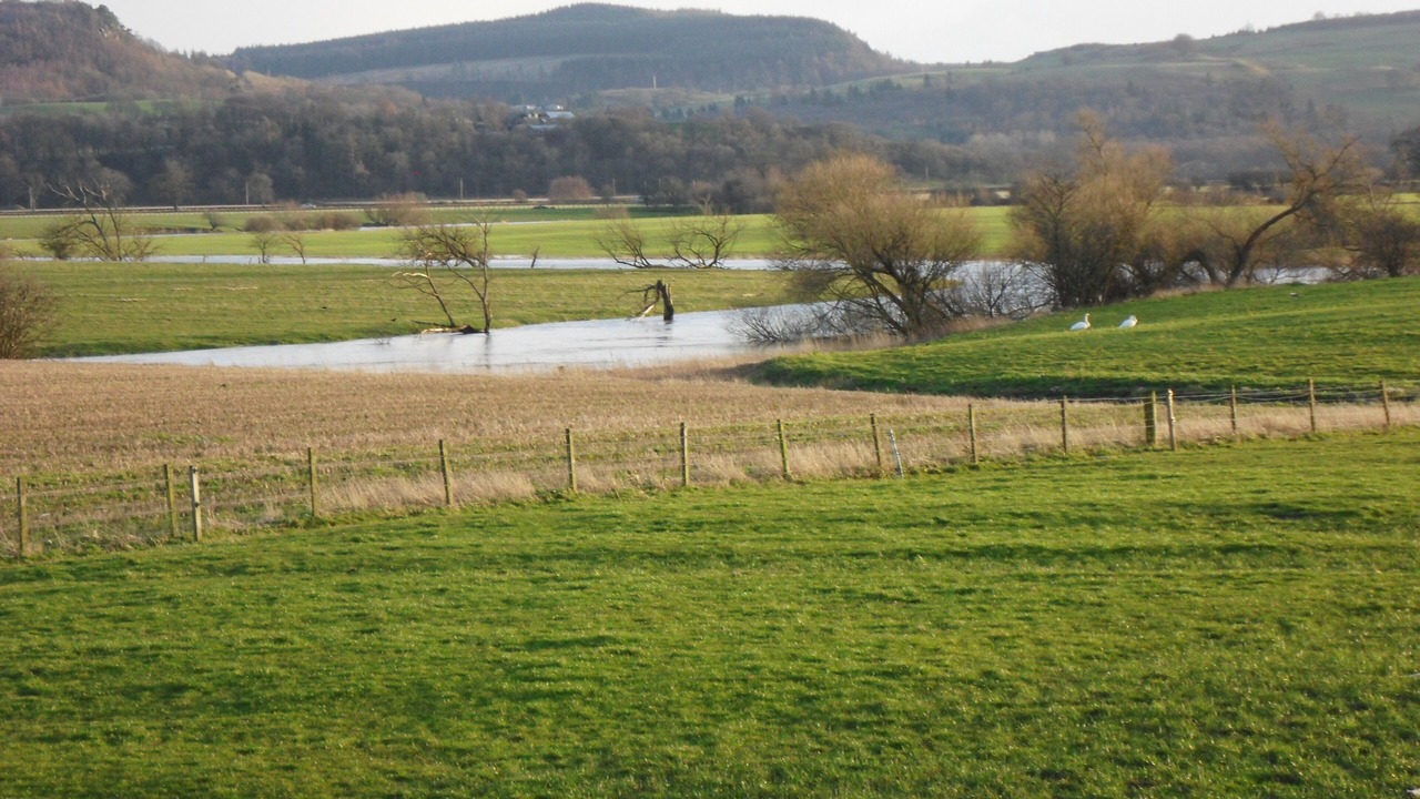 Photo of Others in Auchengray