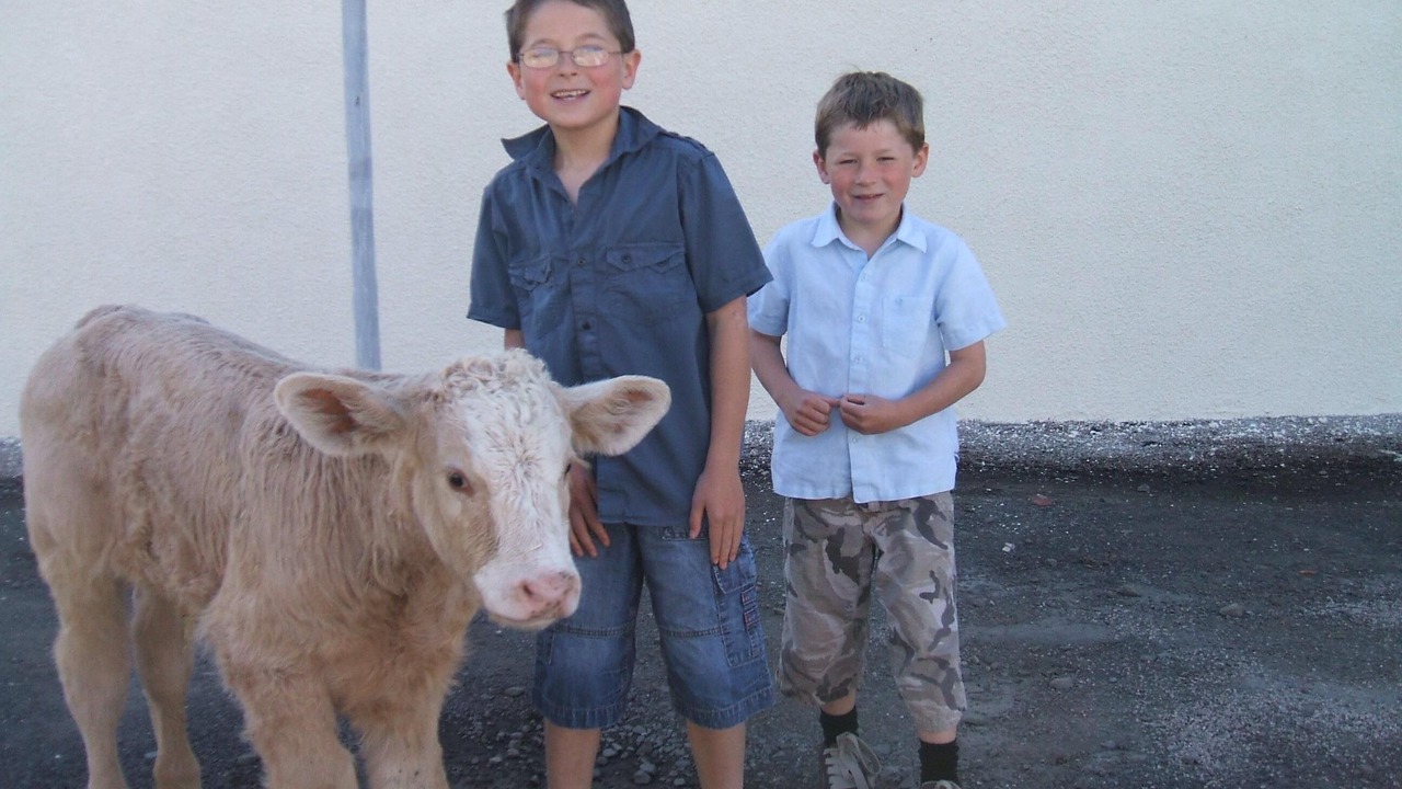 Photo of Others in Auchengray