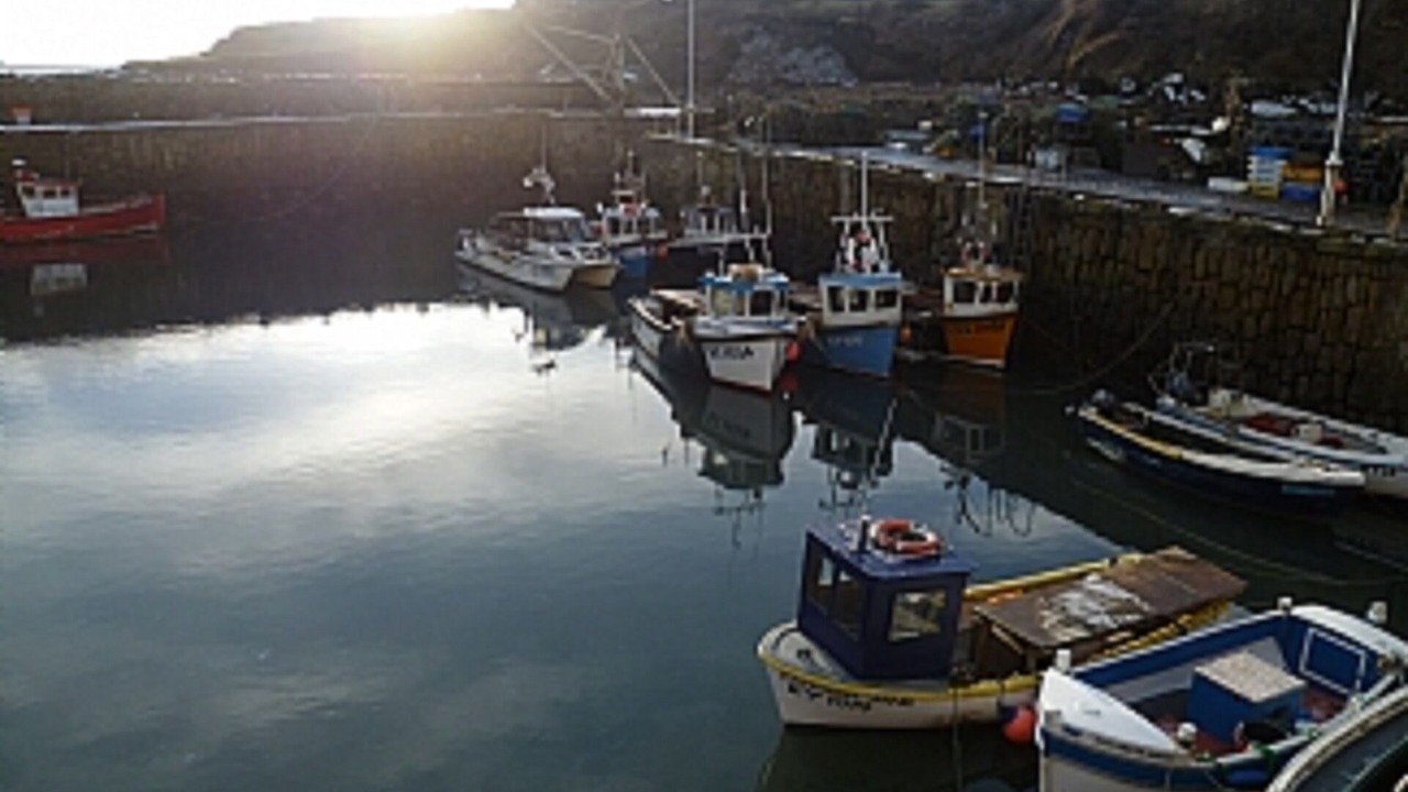 Photo of Others in Crail