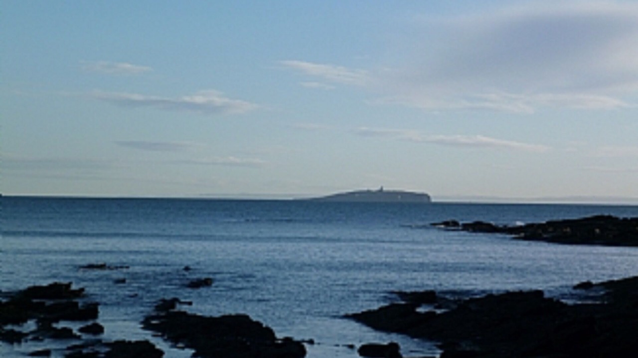 Photo of Others in Crail