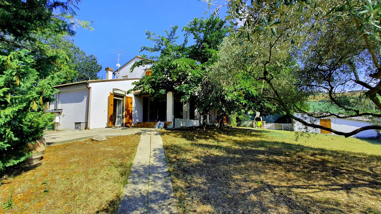 Photo of Outdoor in Tavullia