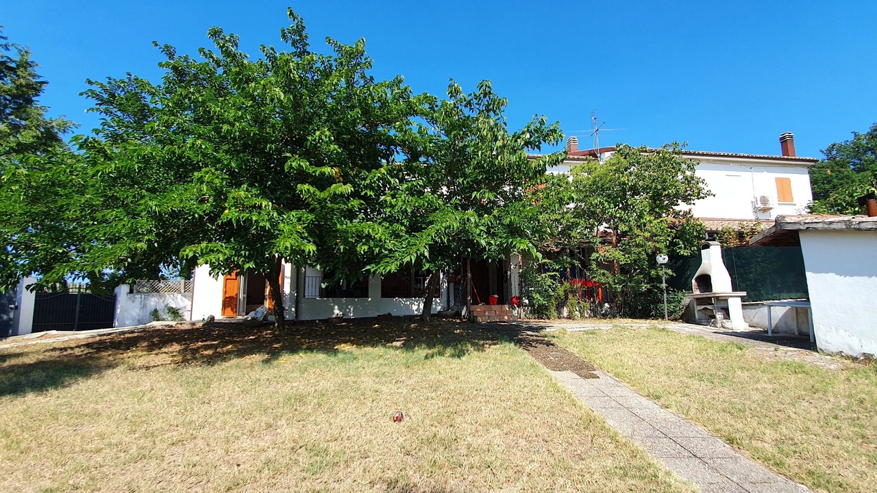 Photo of Outdoor in Tavullia