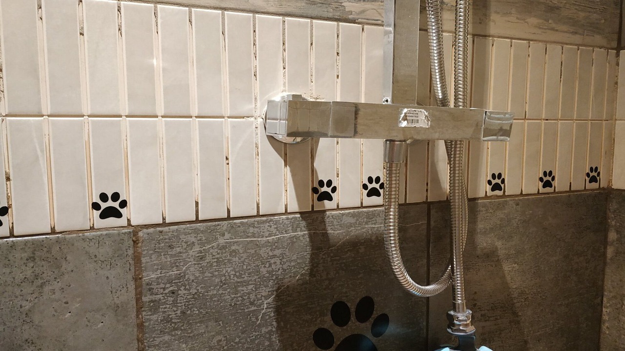 Photo of Bathroom in West Looe