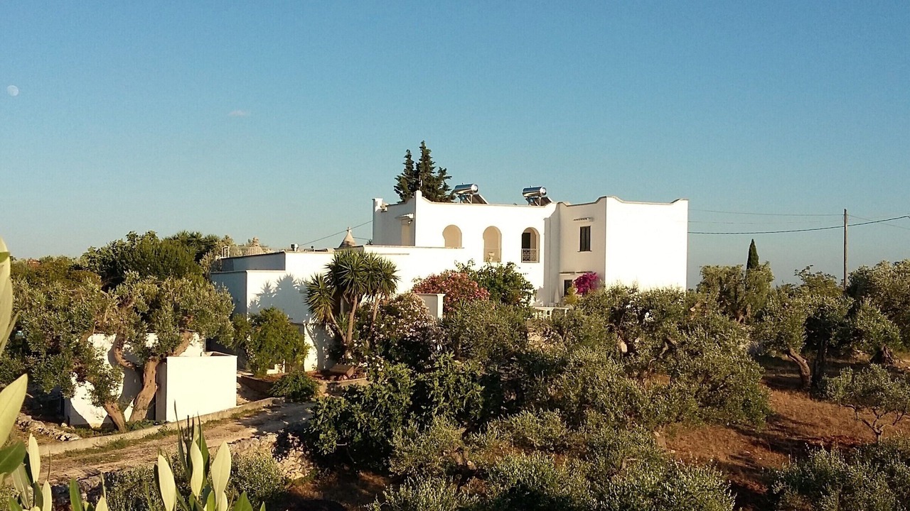 Photo of Others in Cisternino