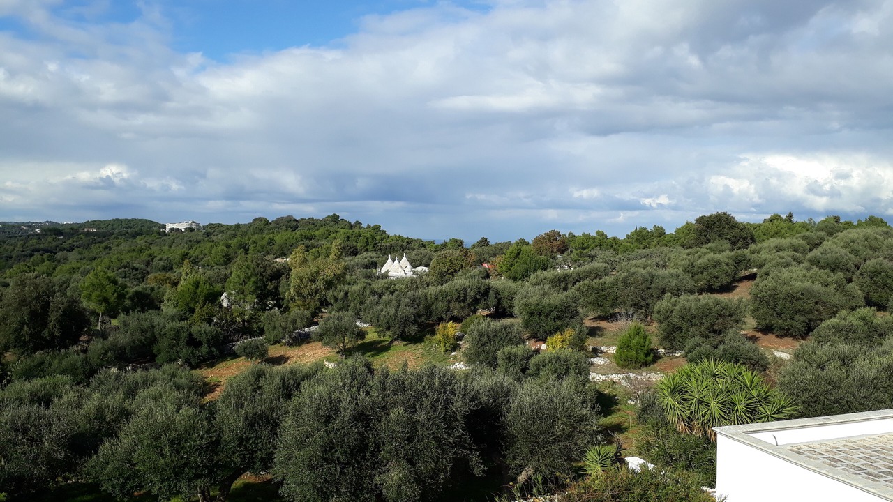 Photo of Others in Cisternino