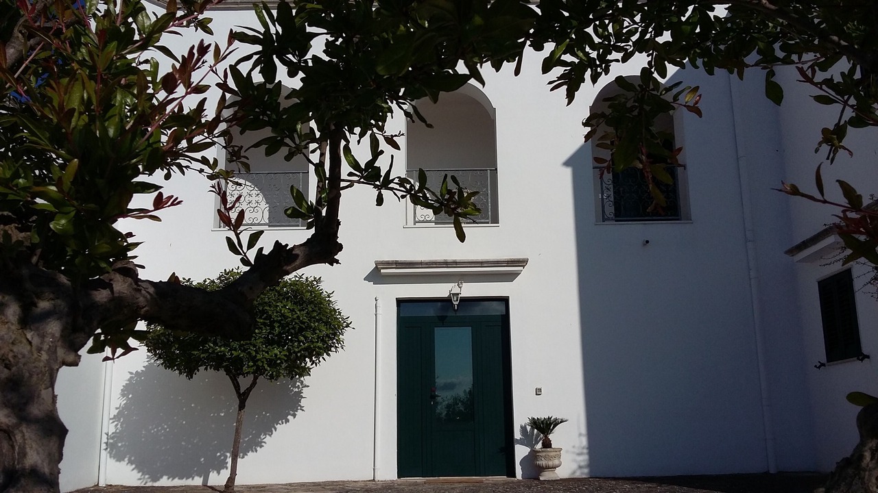 Photo of Others in Cisternino