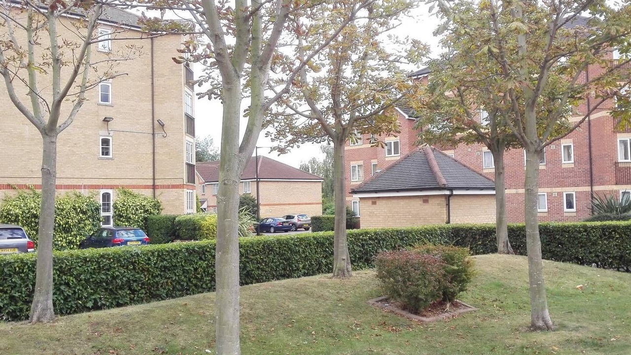 Photo of Others in Island Gardens