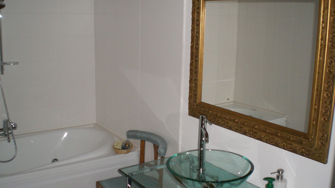 Photo of Bathroom in Manzano