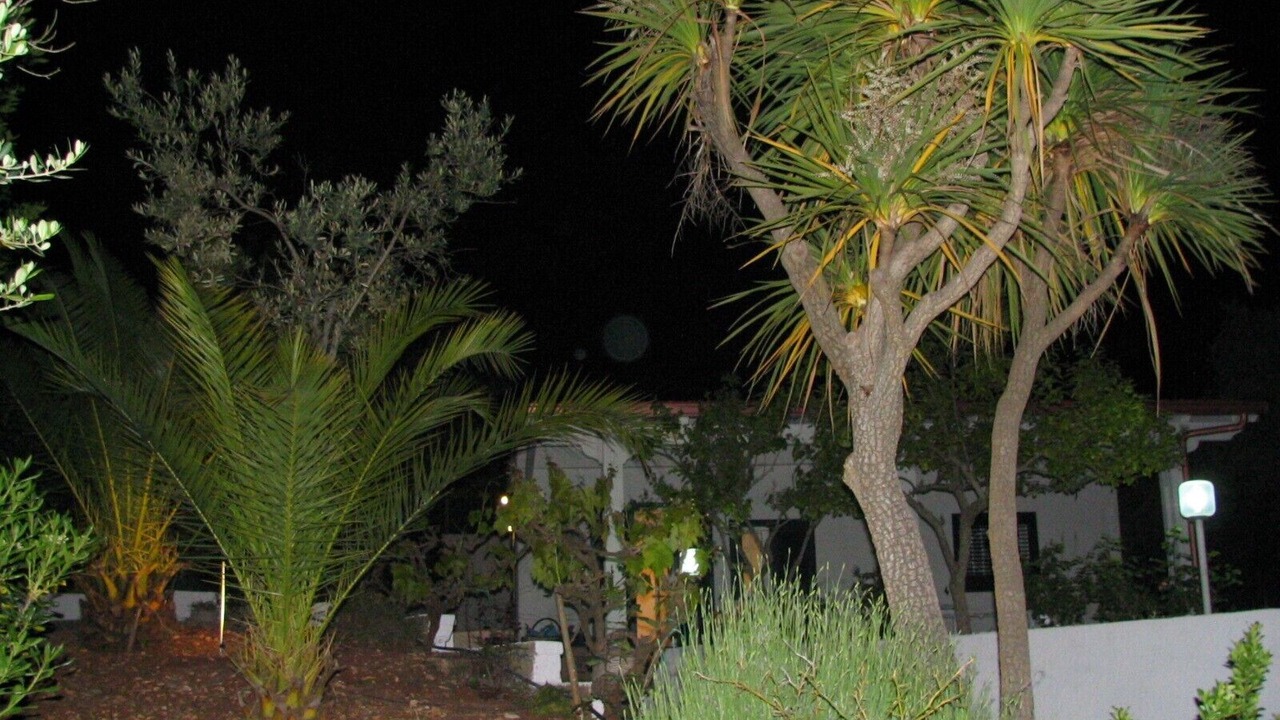 Photo of Others in Ostuni