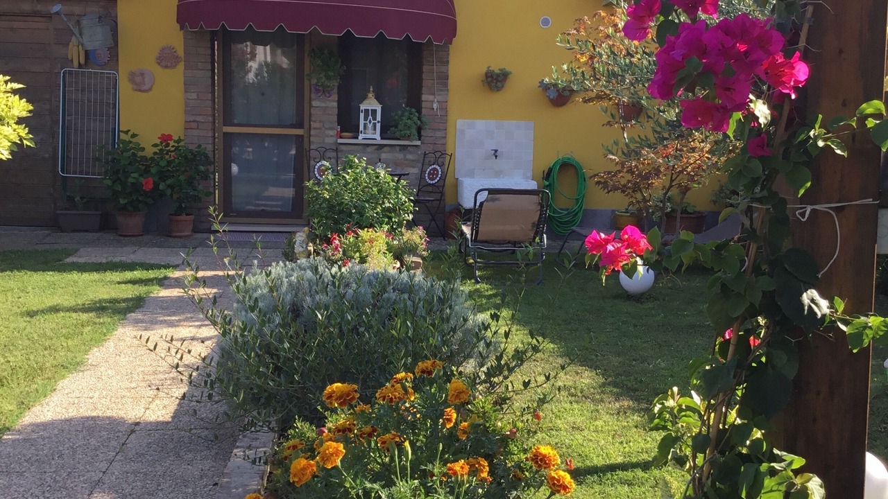 Photo of Outdoor in Olmo di Mira