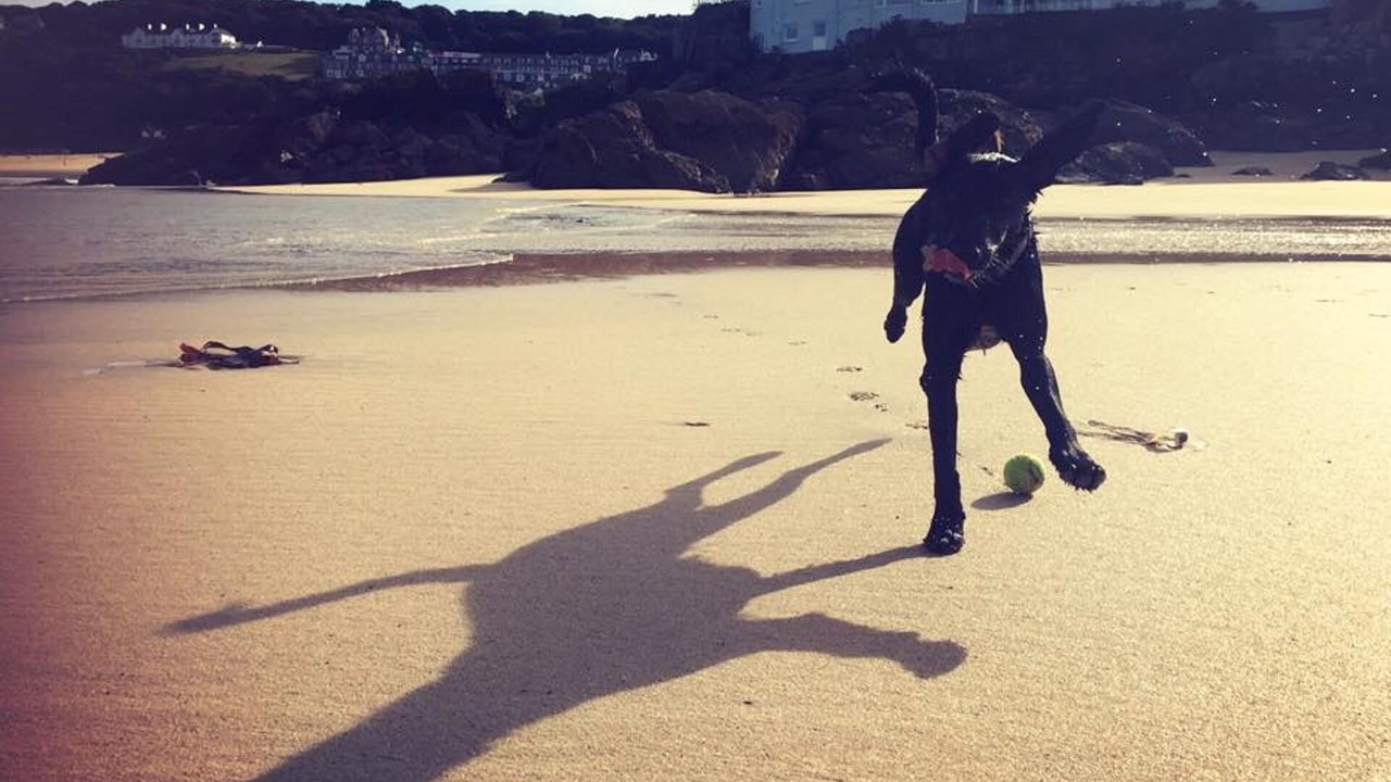 Photo of Others in St Ives