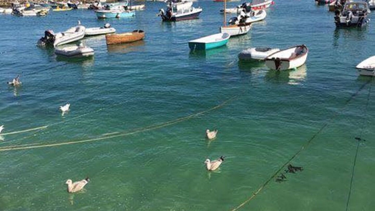 Photo of Others in St Ives