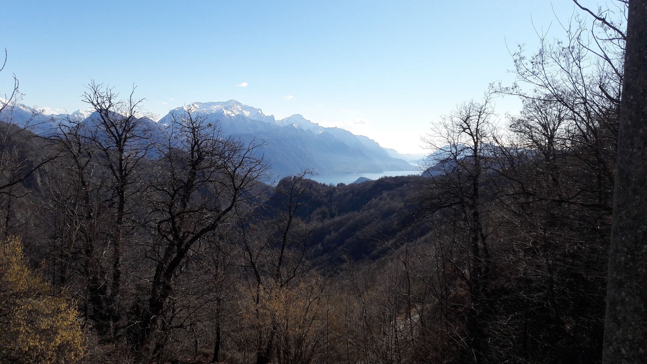 Photo of Others in Menaggio
