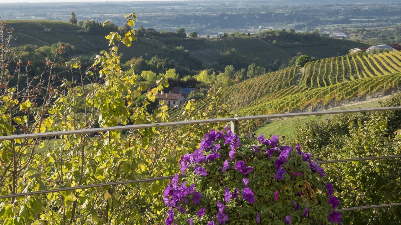 Photo of Outdoor in Farigliano