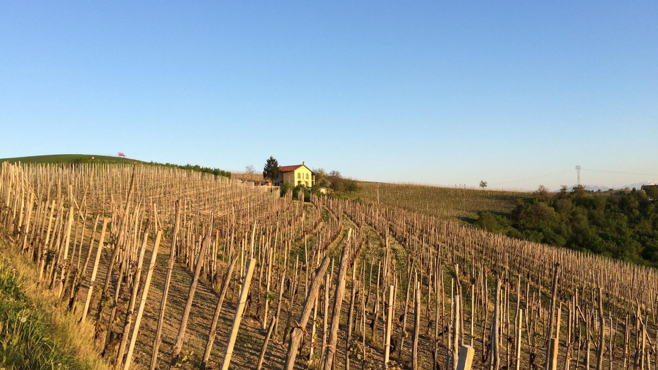 Photo of Outdoor in Farigliano