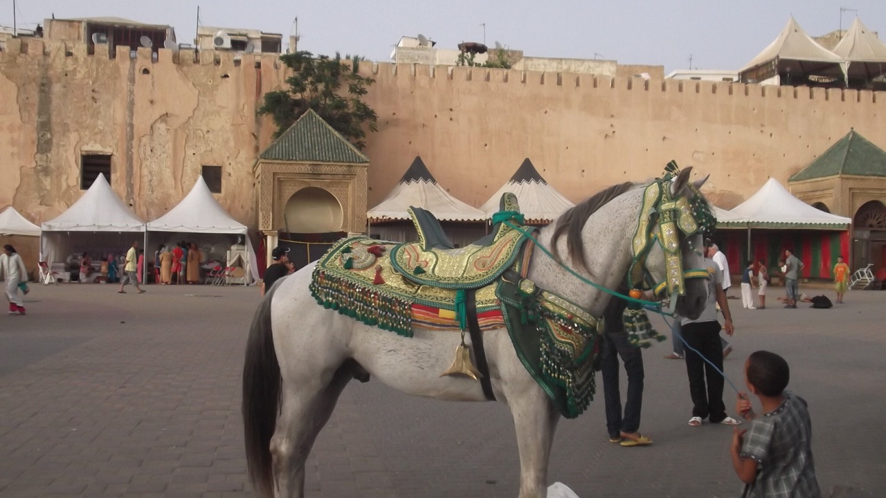 Photo of Others in Meknes Medina