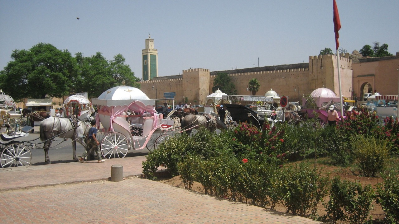 Photo of Outdoor in Meknes Medina