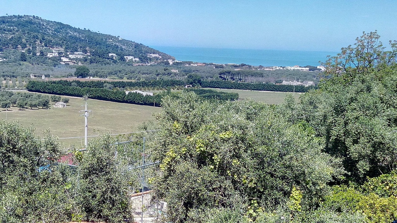 Photo of Others in Peschici