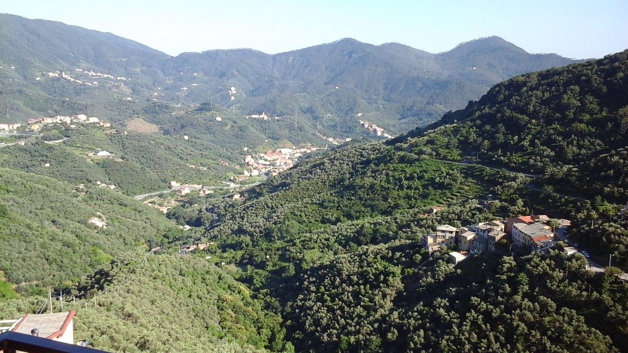 Photo of Others in Lavaggiorosso