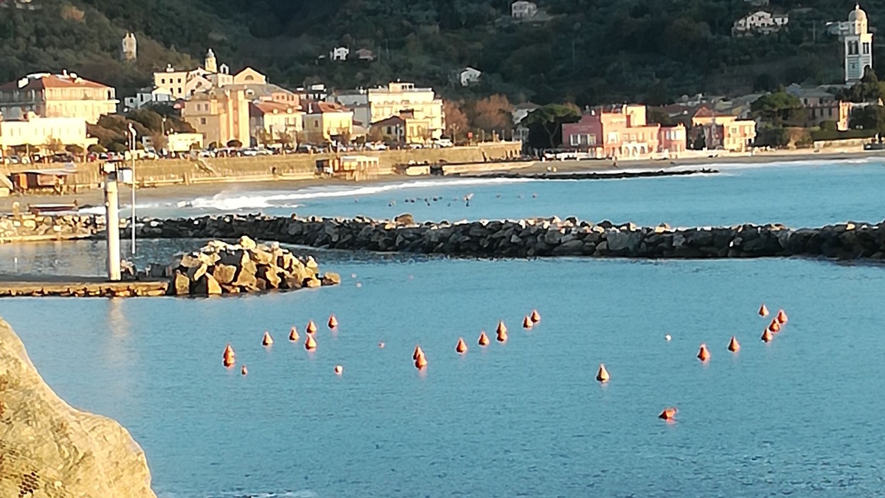 Photo of Others in Lavaggiorosso
