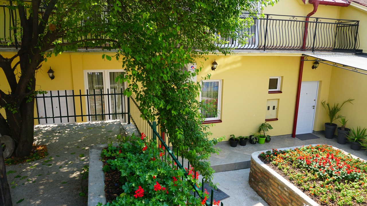 Photo of Outdoor in Savamala