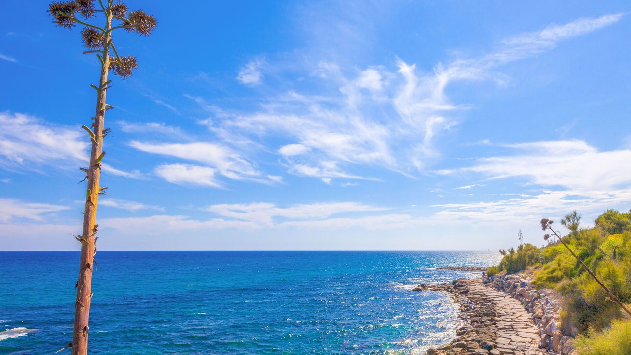 Photo of Others in San Lorenzo al Mare