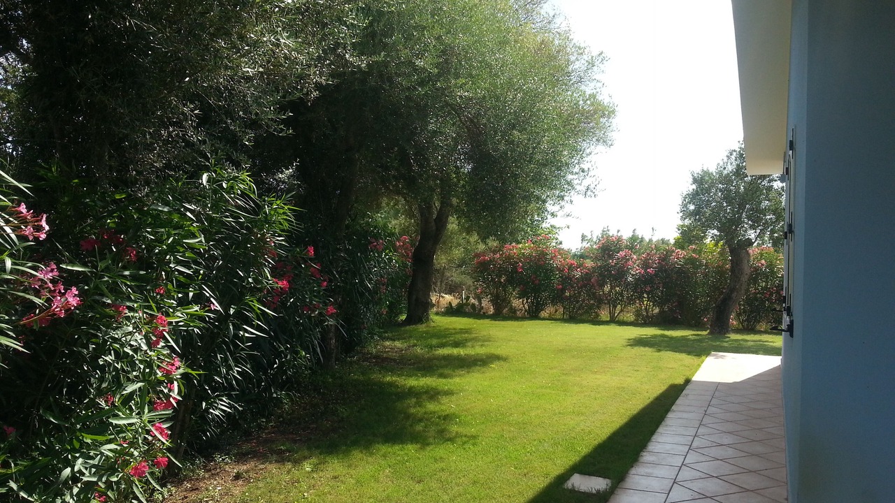 Photo of Outdoor in Masainas