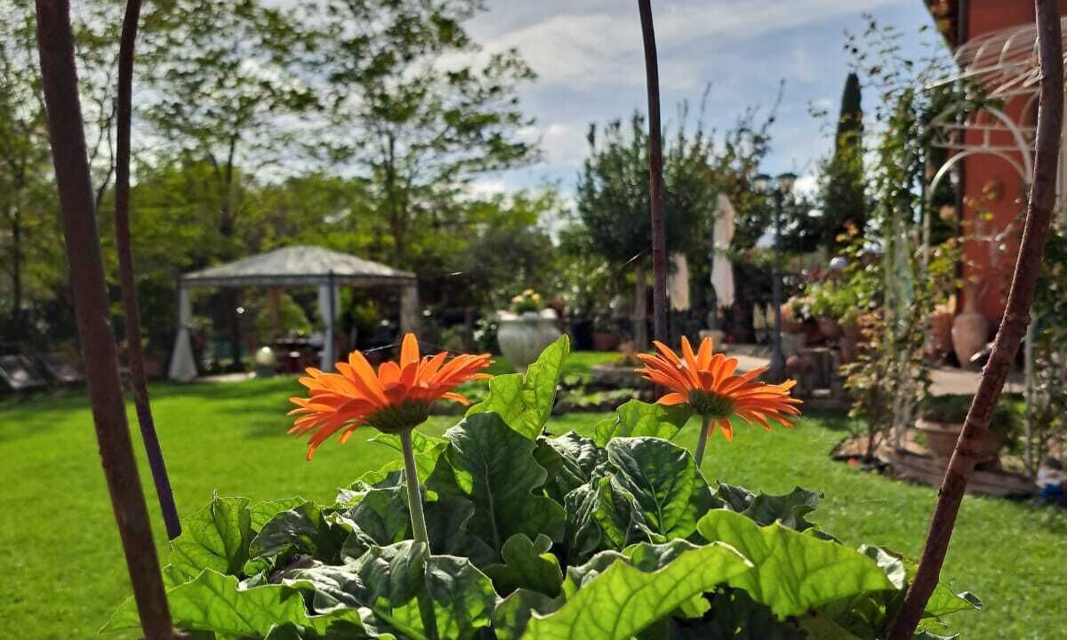 Photo of Outdoor in Cignan Bianco