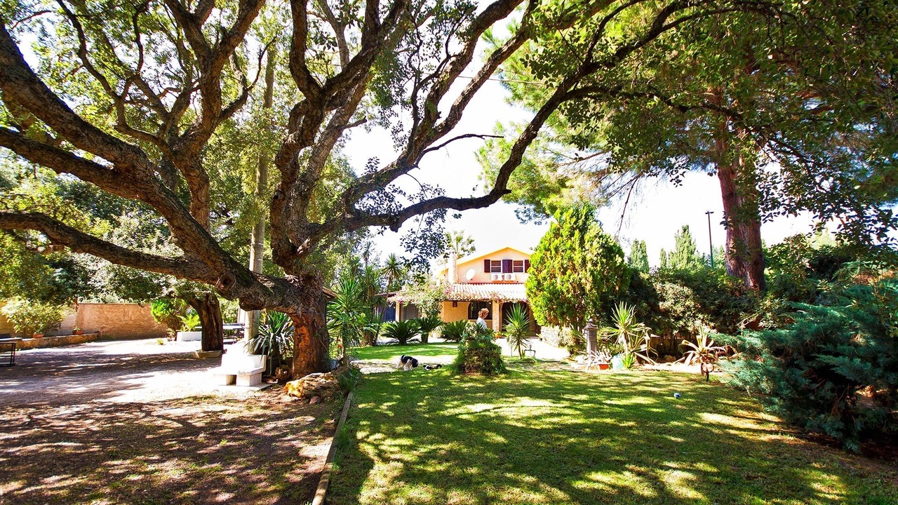 Photo of Outdoor in Alghero