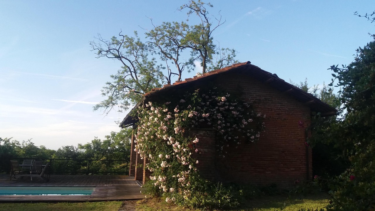 Photo of Outdoor in Portacomaro