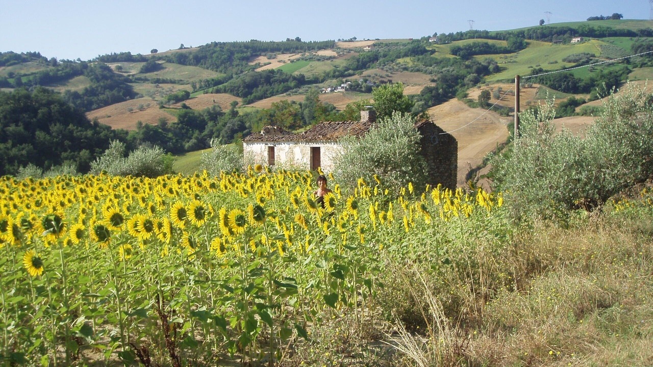 Photo of Others in Castiglione Messer Raimondo