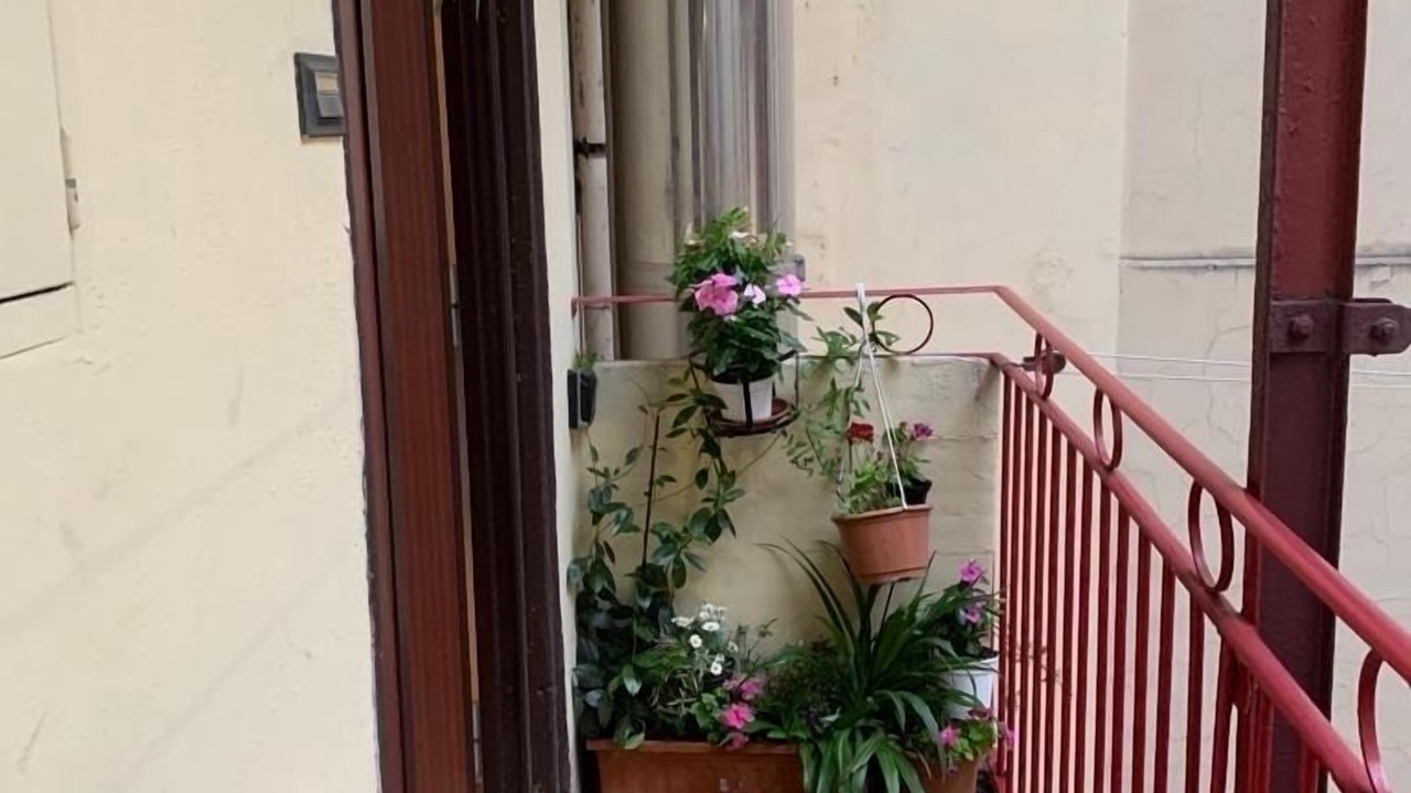 Photo of Outdoor in Testaccio