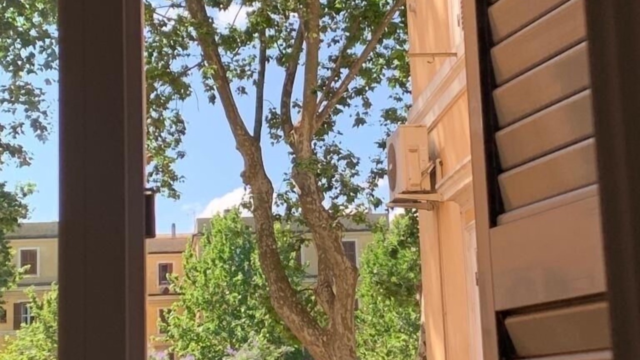 Photo of Others in Testaccio